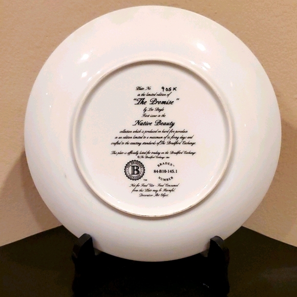 Collectible Plate - Picture 2 of 4